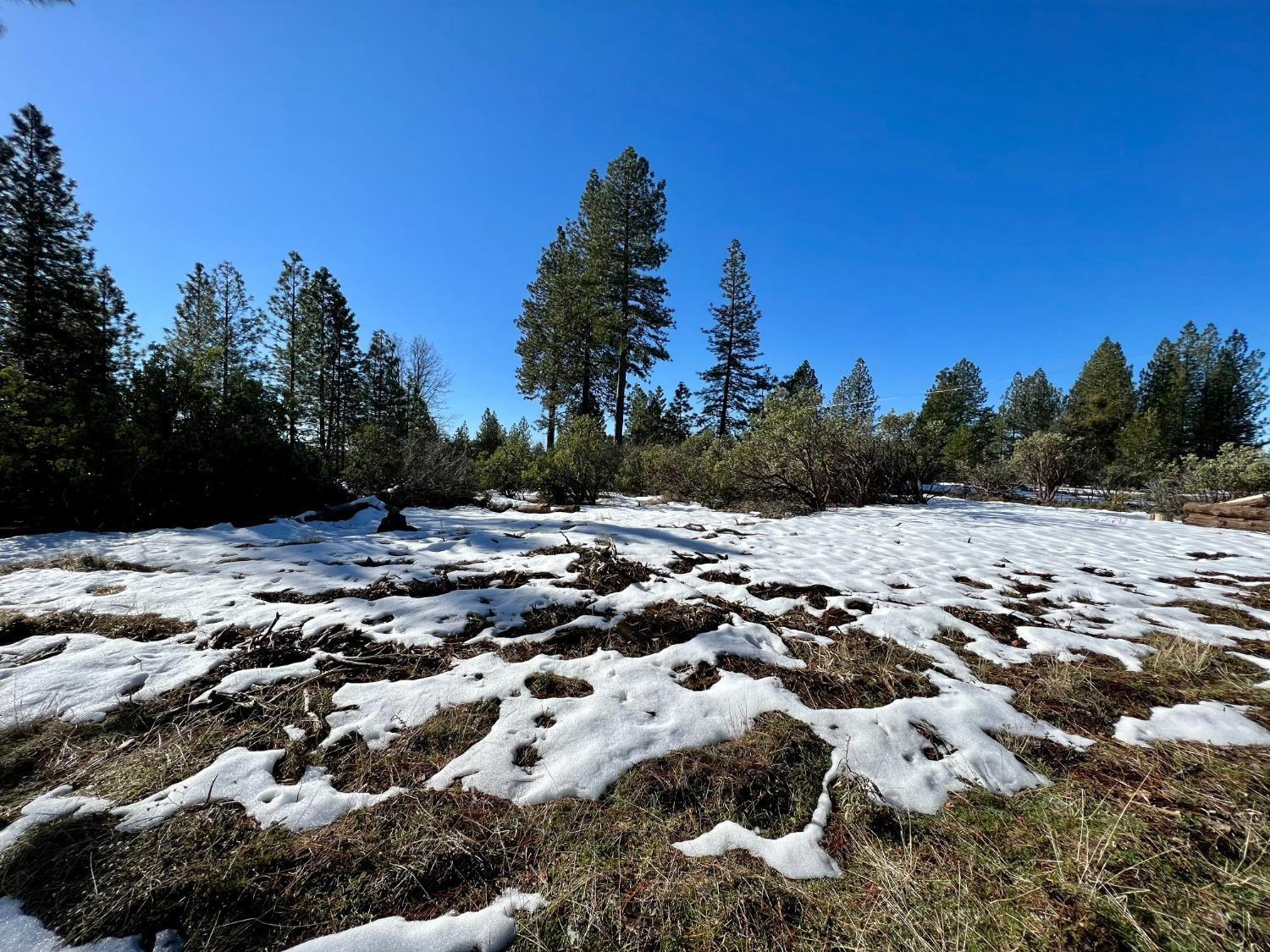 Slug Gulch Road, Somerset, California image 11