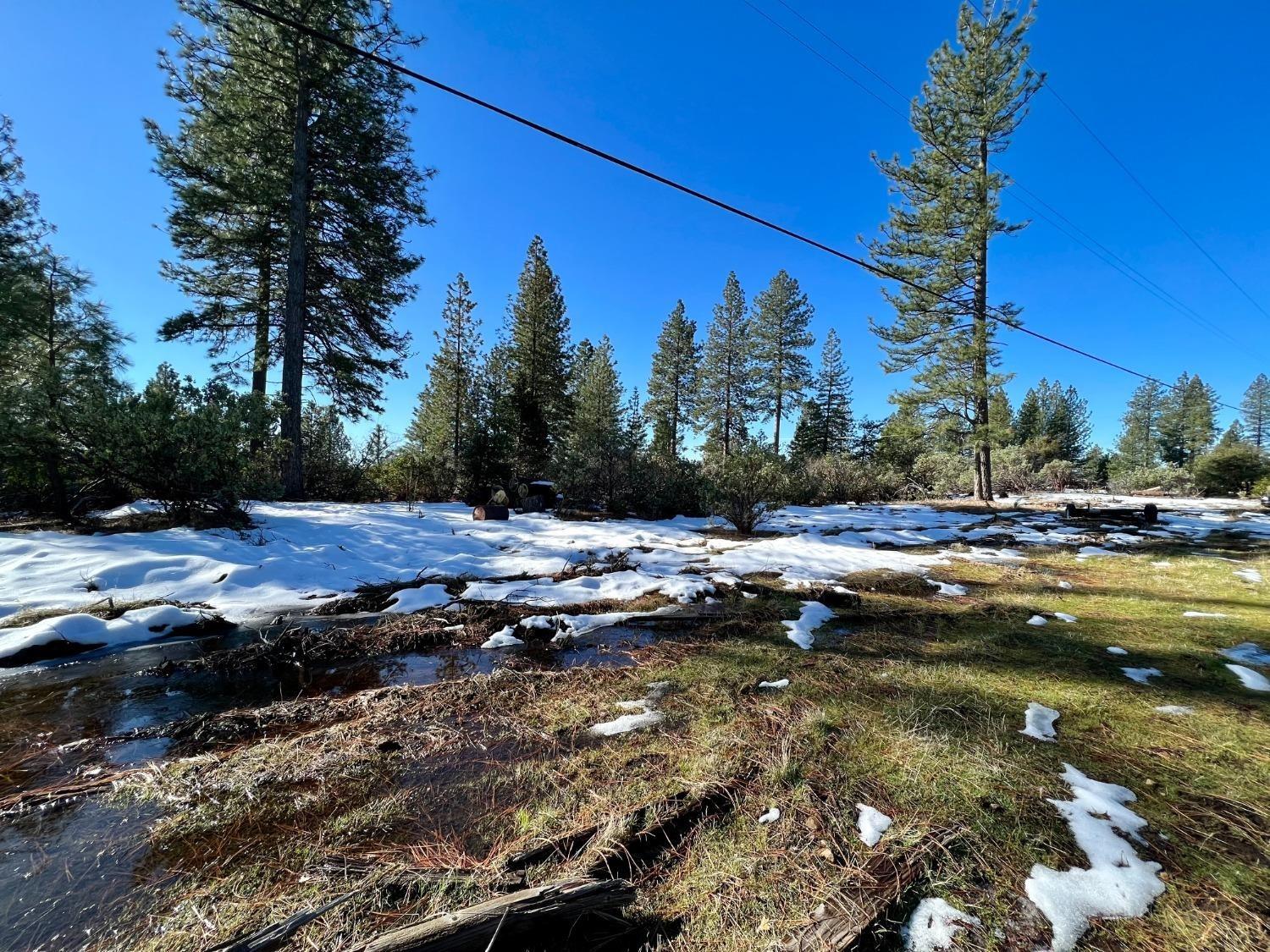 Slug Gulch Road, Somerset, California image 8