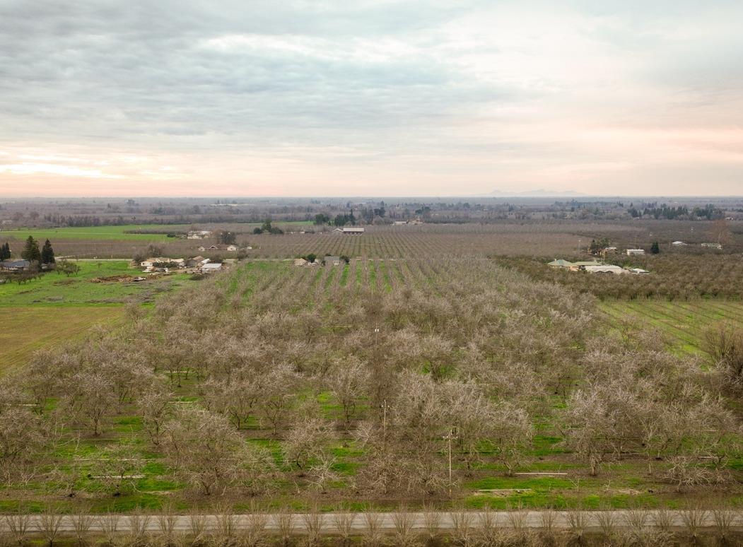 Morehead Avenue, Chico, California image 3