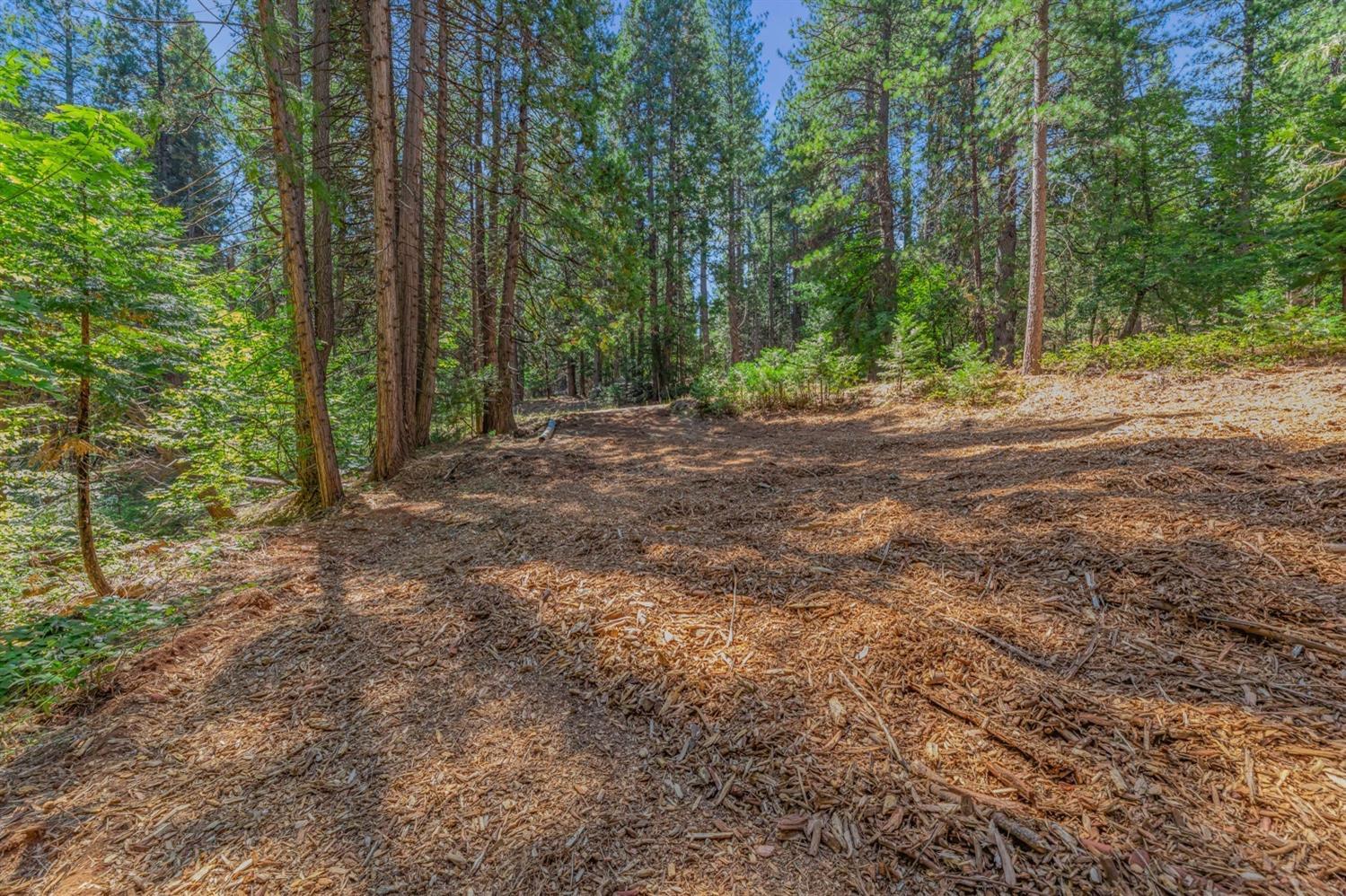 Ashland Drive, Pioneer, California image 8