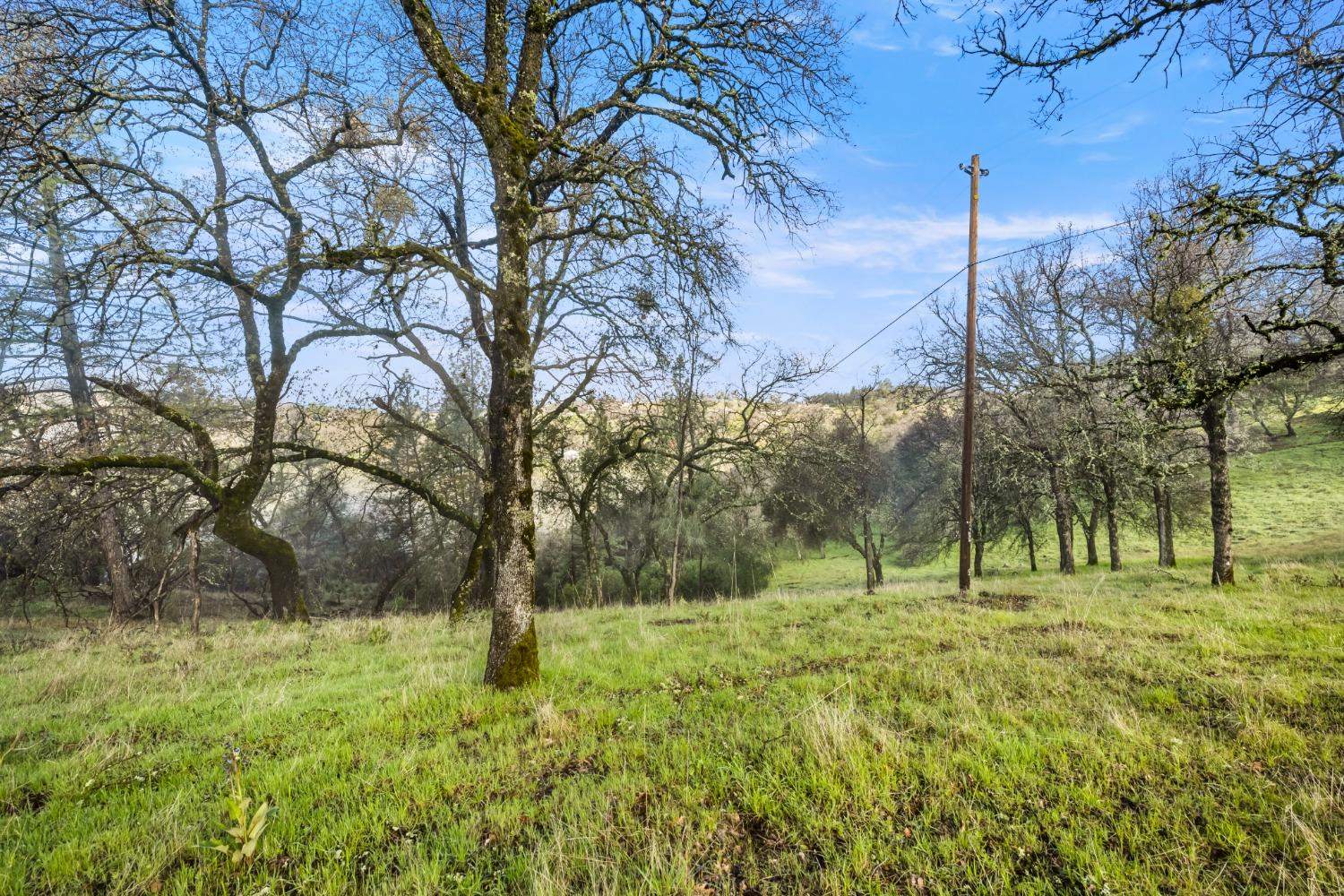 Monitor Court, El Dorado, California image 7