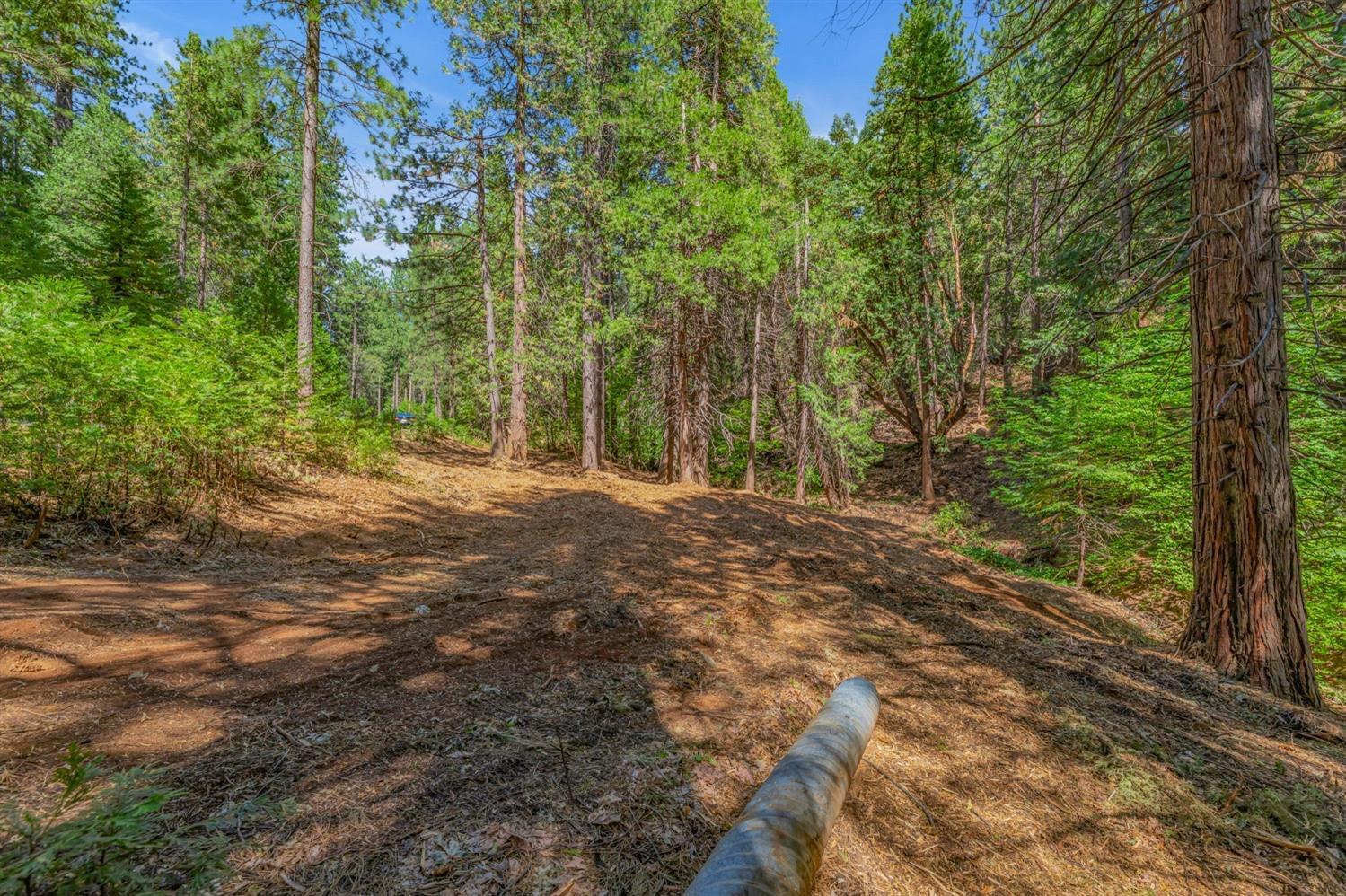 Ashland Drive, Pioneer, California image 12