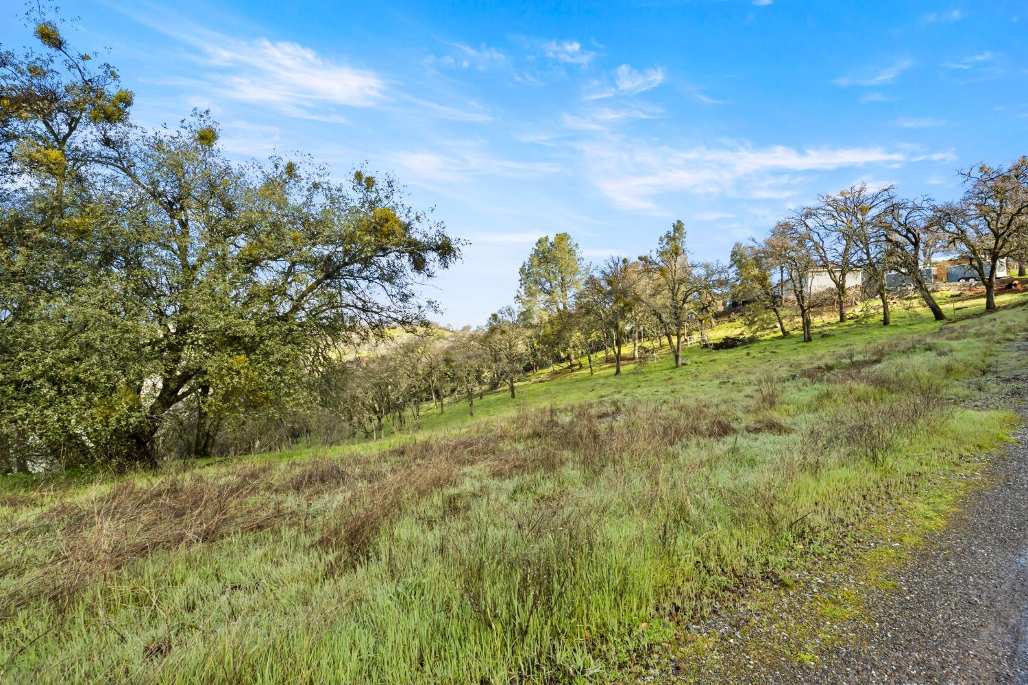 Monitor Court, El Dorado, California image 6