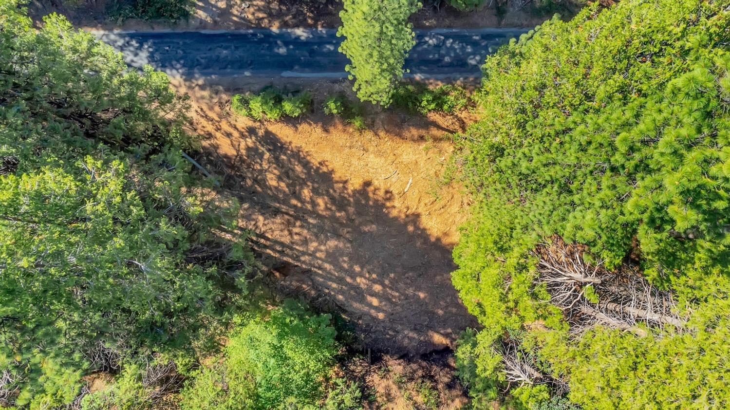 Ashland Drive, Pioneer, California image 2
