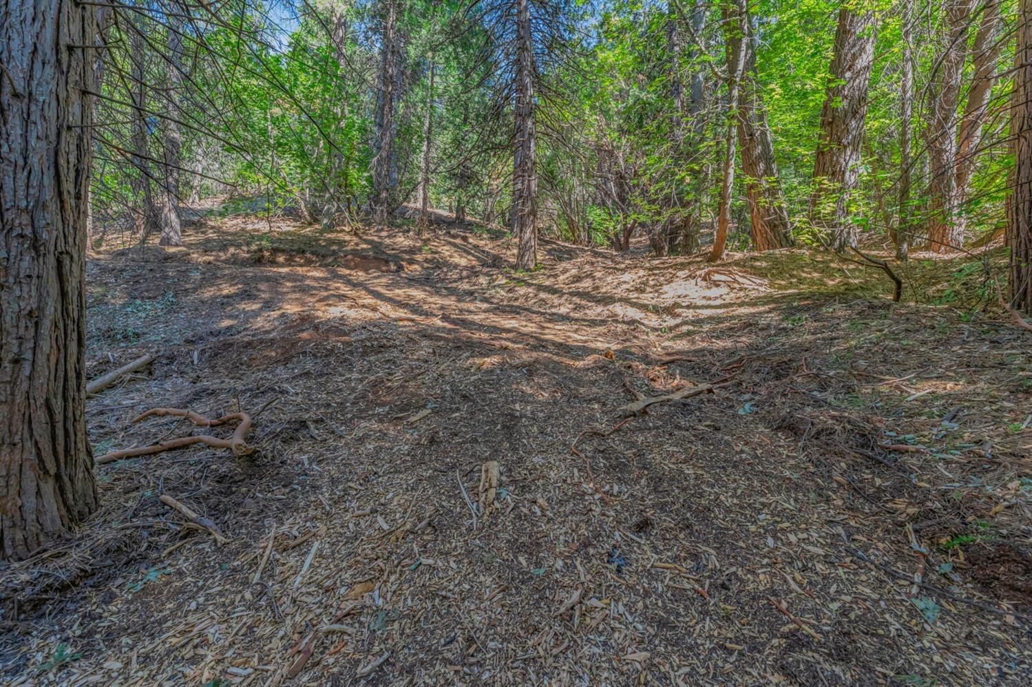 Ashland Drive, Pioneer, California image 13