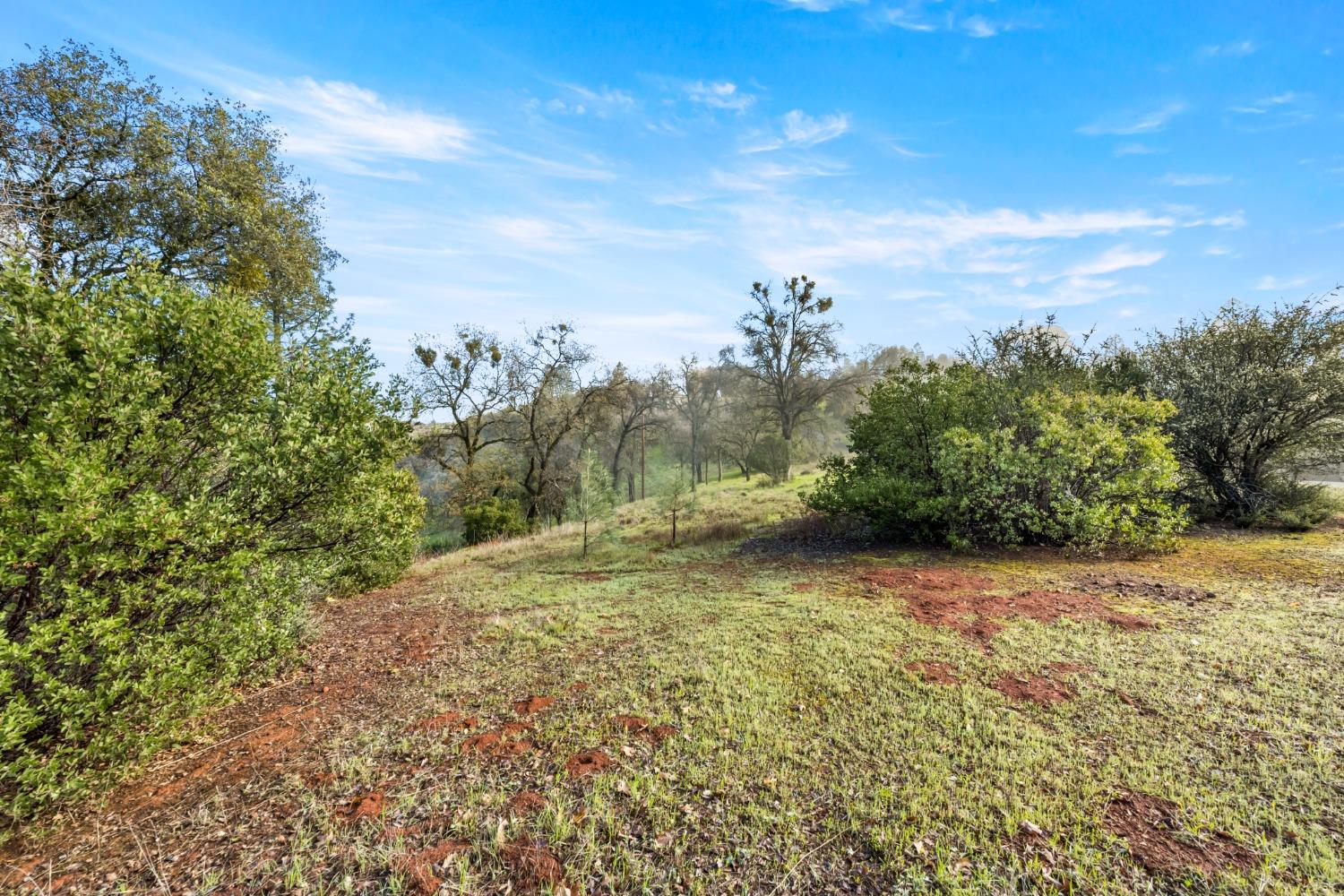 Monitor Court, El Dorado, California image 9