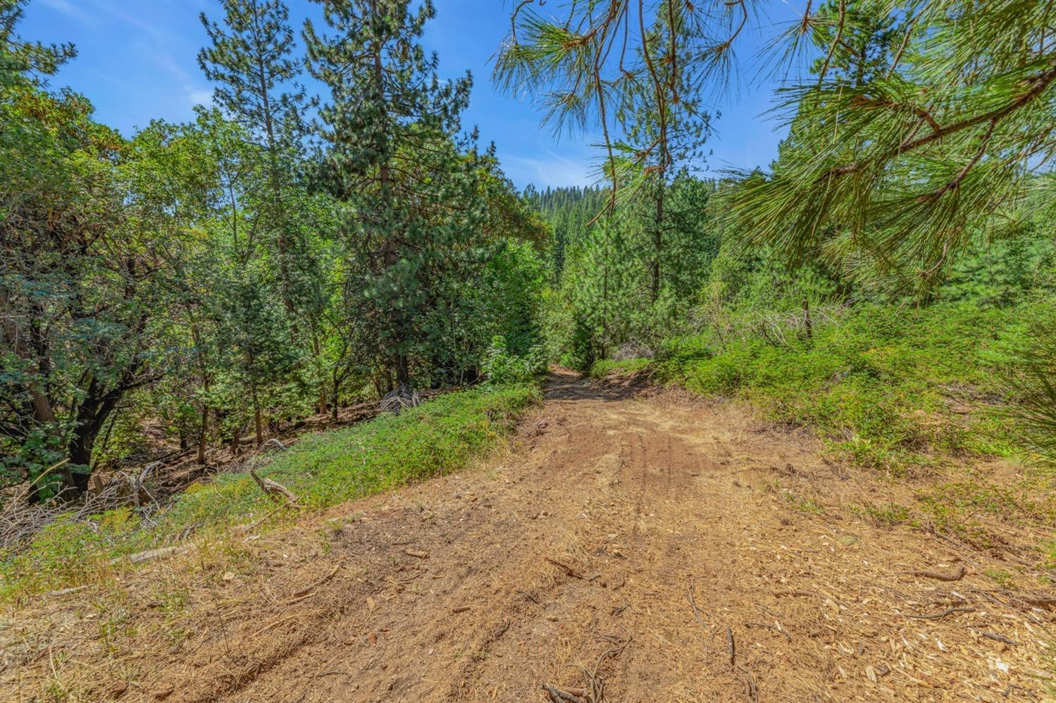 Ashland Drive, Pioneer, California image 11