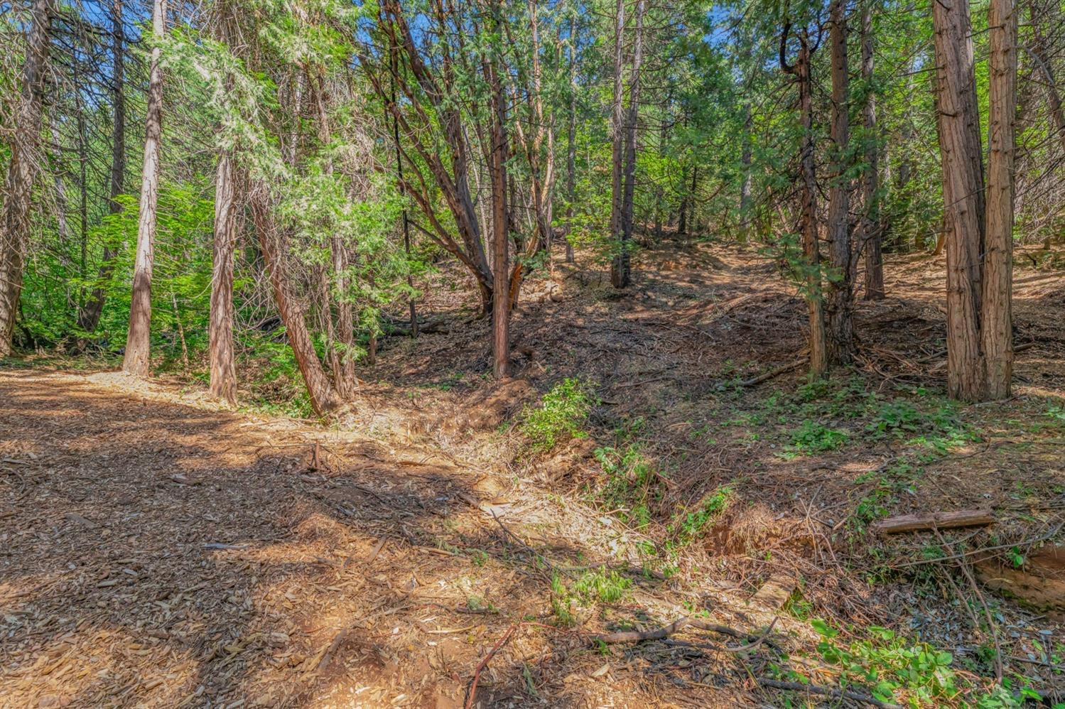 Ashland Drive, Pioneer, California image 14