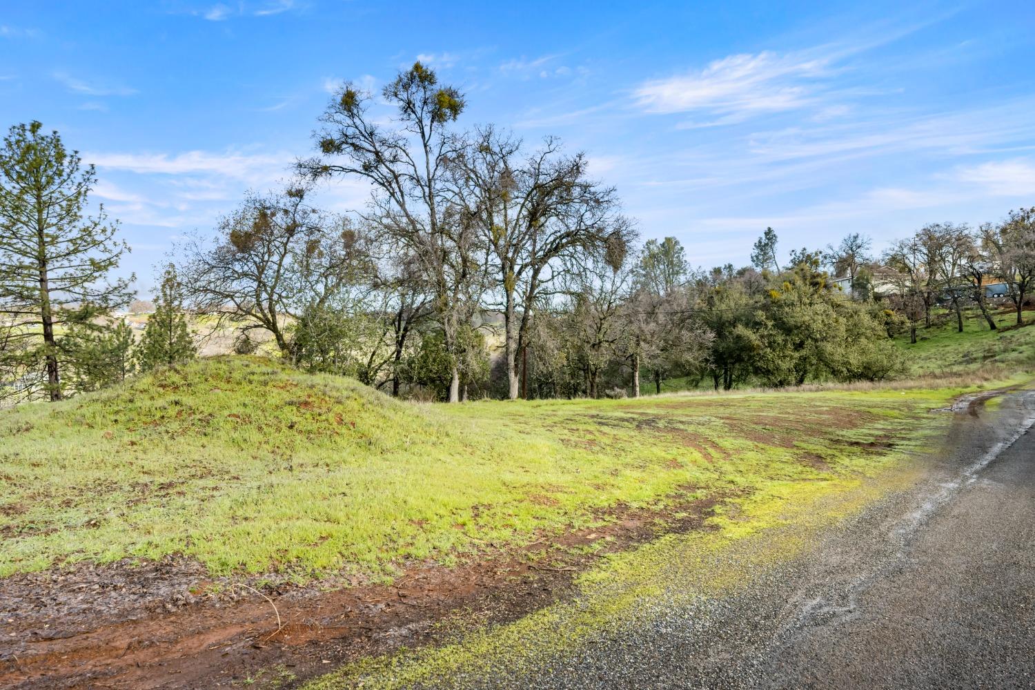 Monitor Court, El Dorado, California image 18