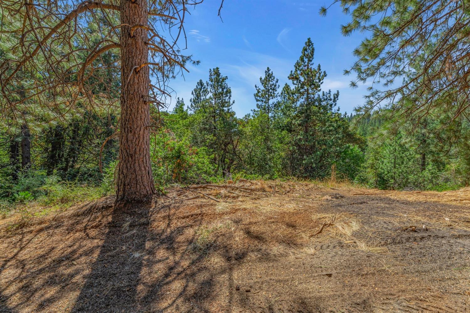 Ashland Drive, Pioneer, California image 10