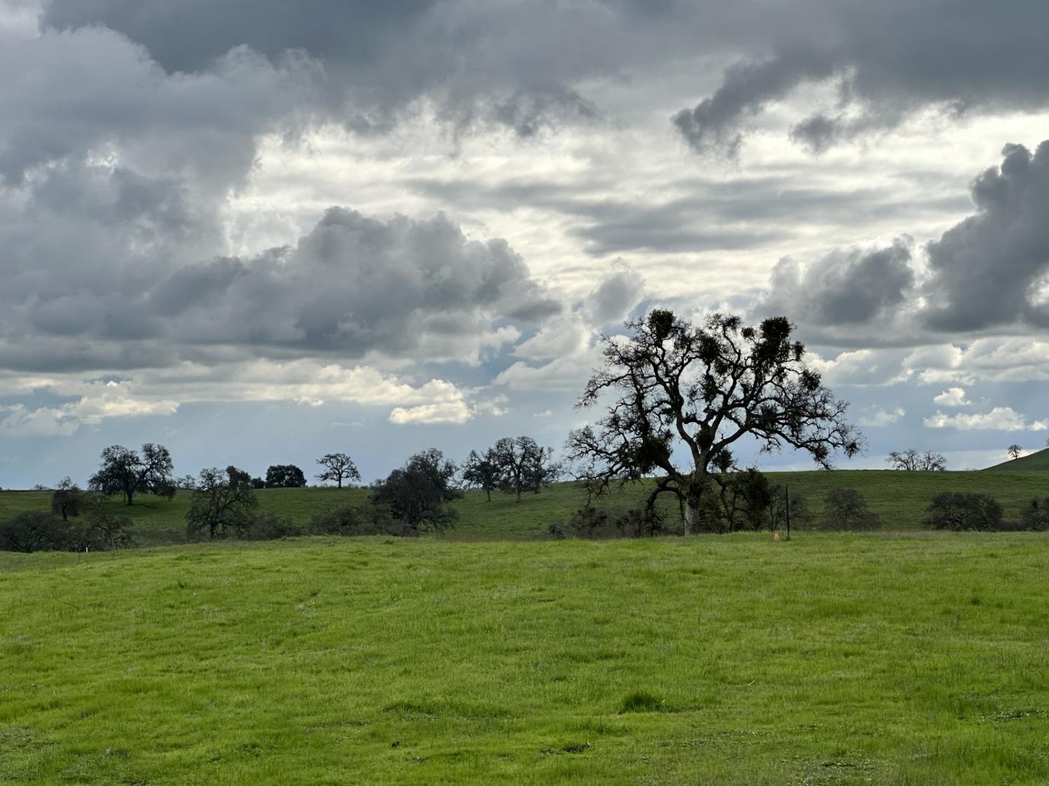 Mohawk Court, Ione, California image 14