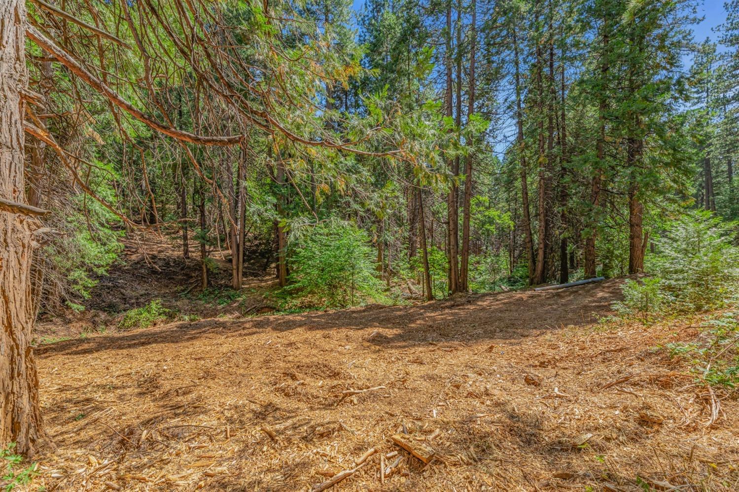Ashland Drive, Pioneer, California image 3
