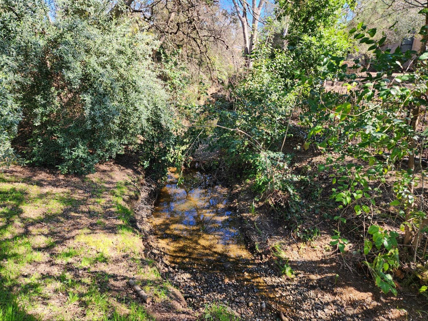 Detail Gallery Image 19 of 23 For 0 Secluded Oaks Ln, Carmichael,  CA 95608 - – Beds | – Baths