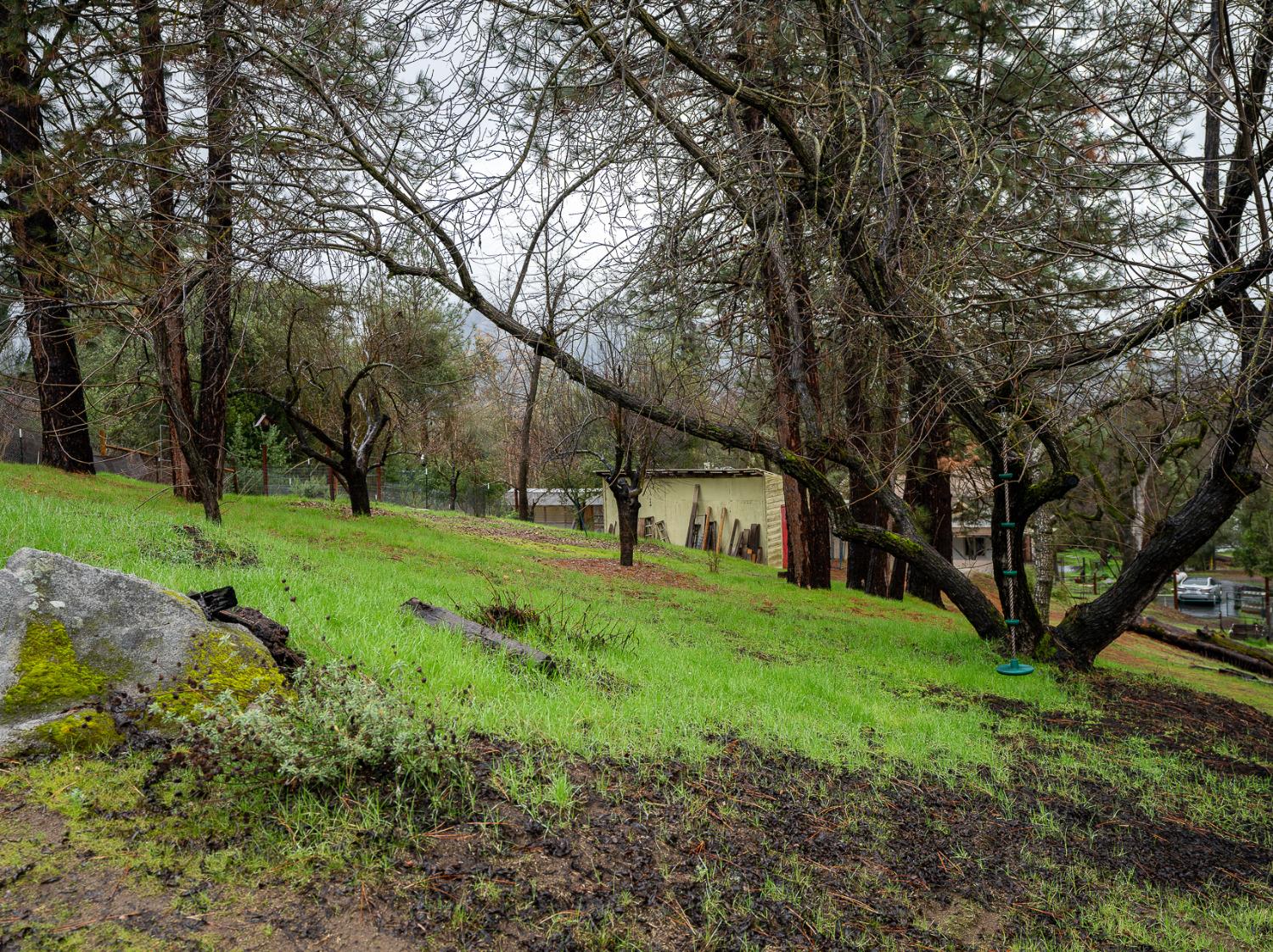 Pamela Place, Oakhurst, California image 40