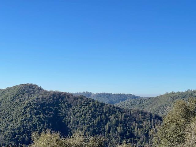 Rock Creek Road, Placerville, California image 11