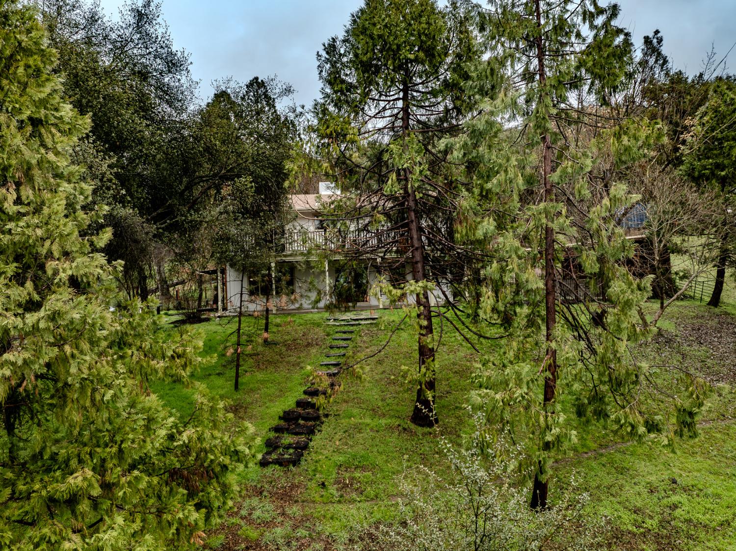 Pamela Place, Oakhurst, California image 6