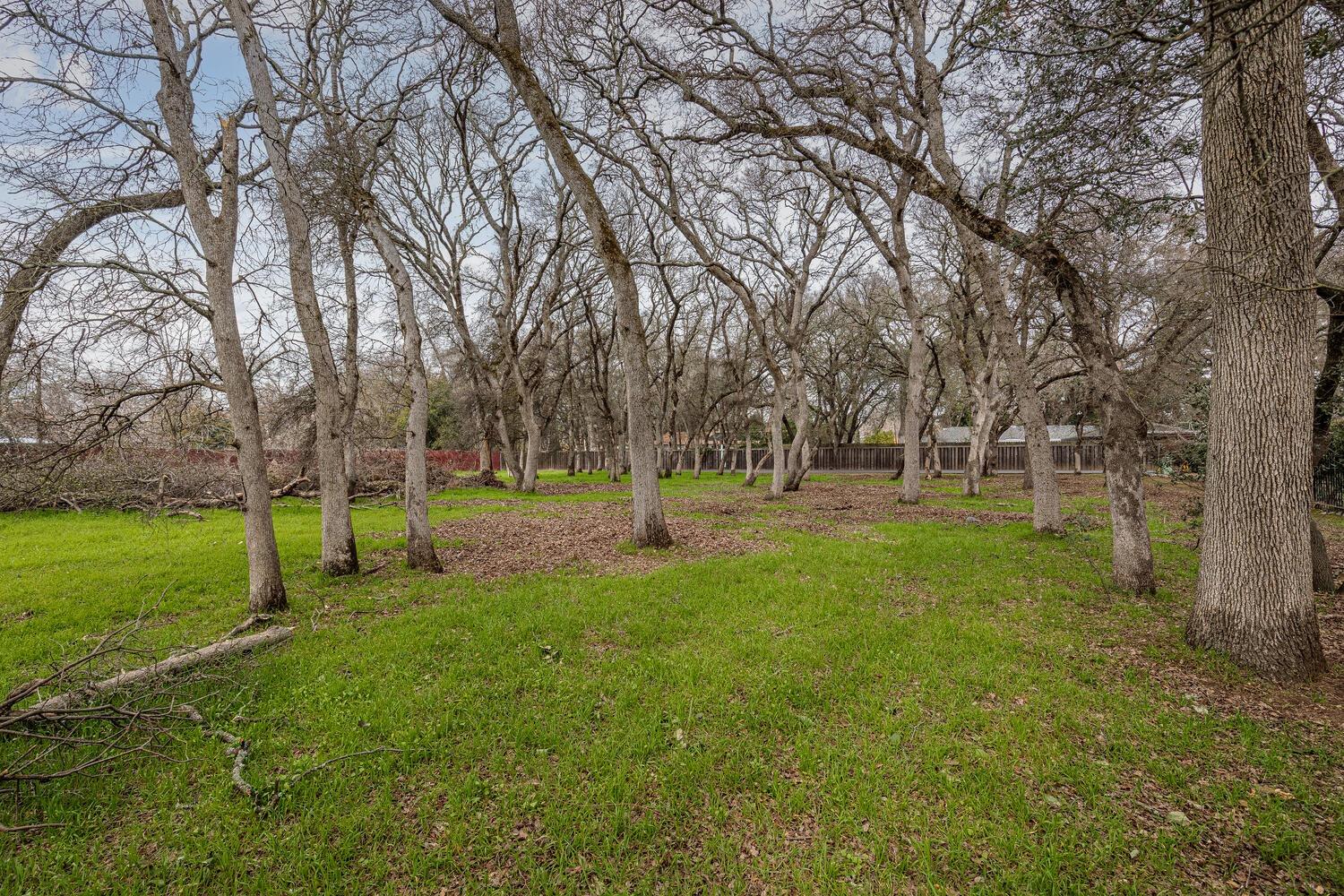 Detail Gallery Image 10 of 23 For 0 Secluded Oaks Ln, Carmichael,  CA 95608 - – Beds | – Baths