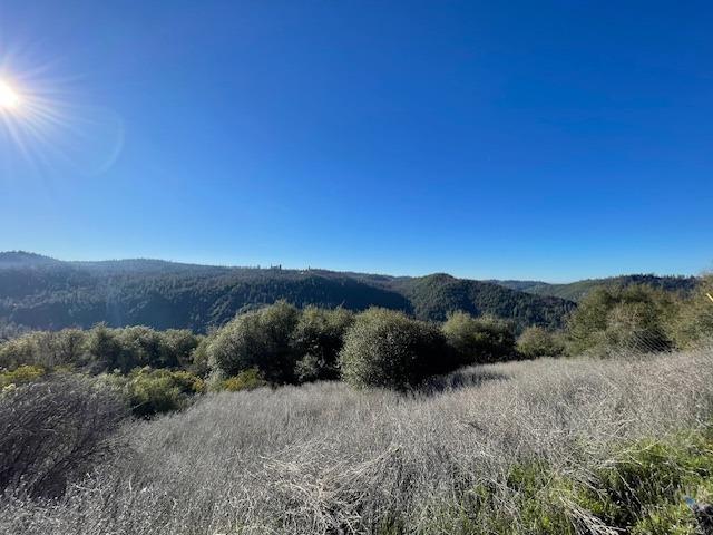 Rock Creek Road, Placerville, California image 12