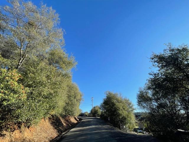 Rock Creek Road, Placerville, California image 6