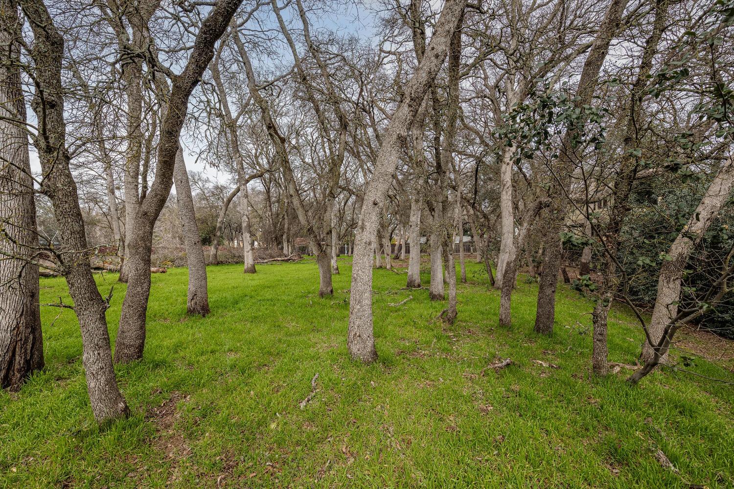 Detail Gallery Image 9 of 23 For 0 Secluded Oaks Ln, Carmichael,  CA 95608 - – Beds | – Baths