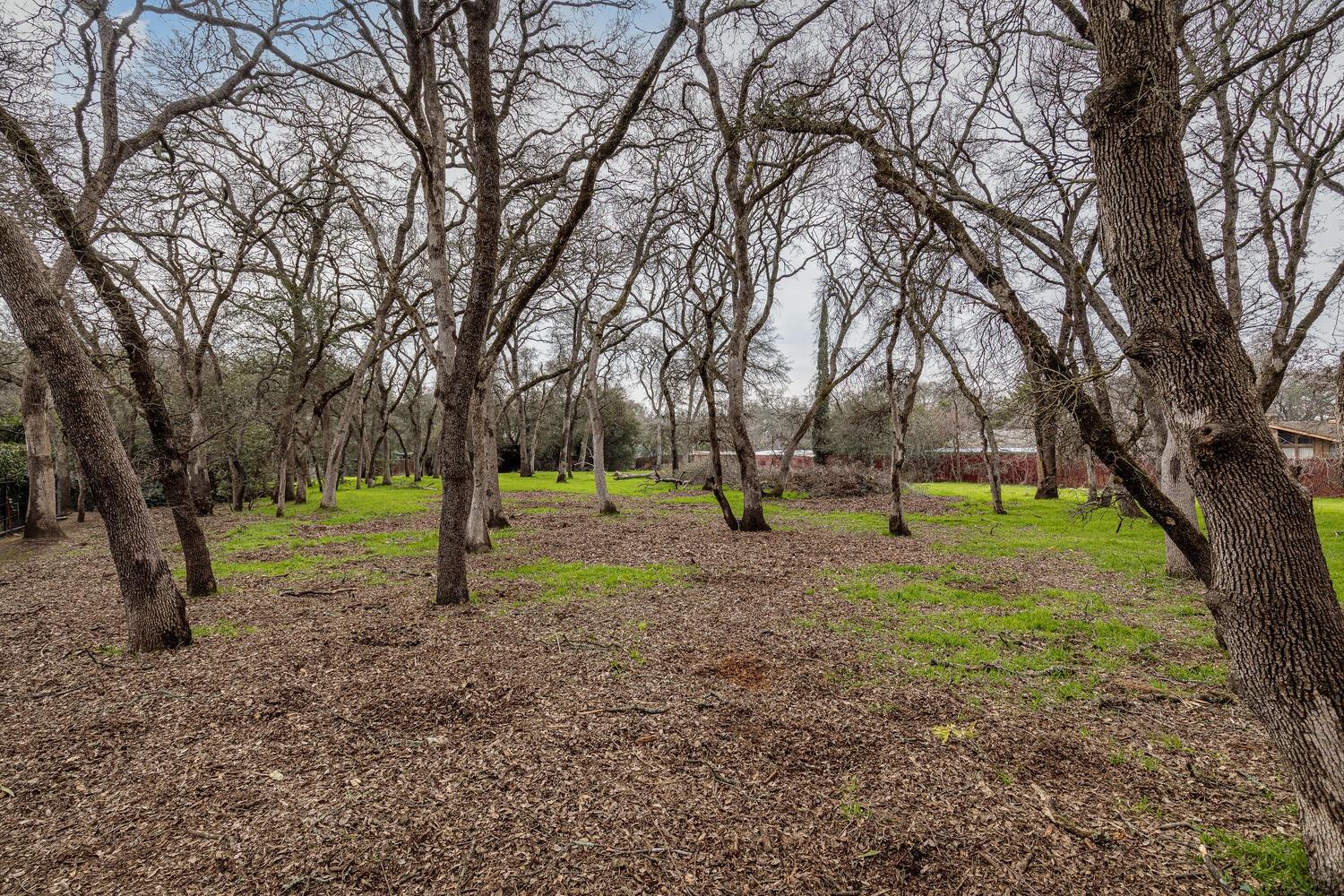 Detail Gallery Image 11 of 23 For 0 Secluded Oaks Ln, Carmichael,  CA 95608 - – Beds | – Baths