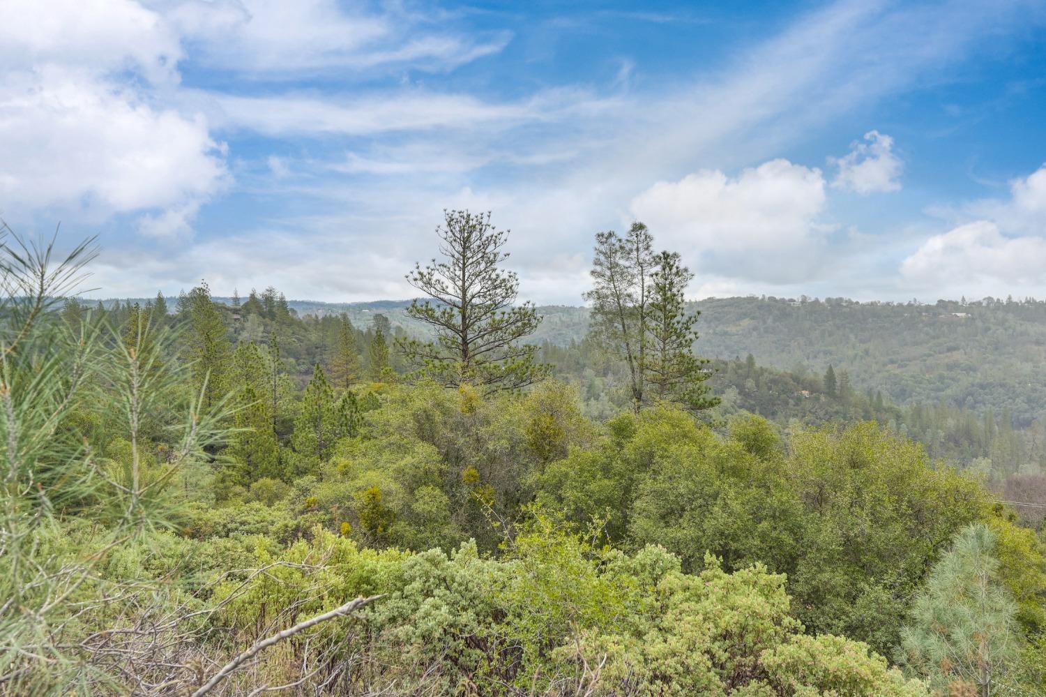 Detail Gallery Image 40 of 65 For 13675 Shake Ridge Rd, Sutter Creek,  CA 95685 - 3 Beds | 2 Baths