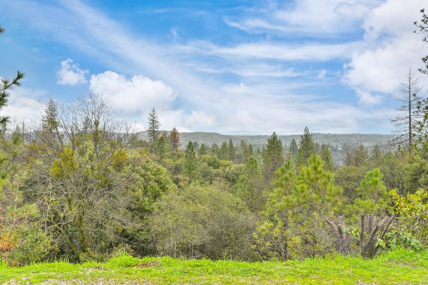 Detail Gallery Image 48 of 65 For 13675 Shake Ridge Rd, Sutter Creek,  CA 95685 - 3 Beds | 2 Baths