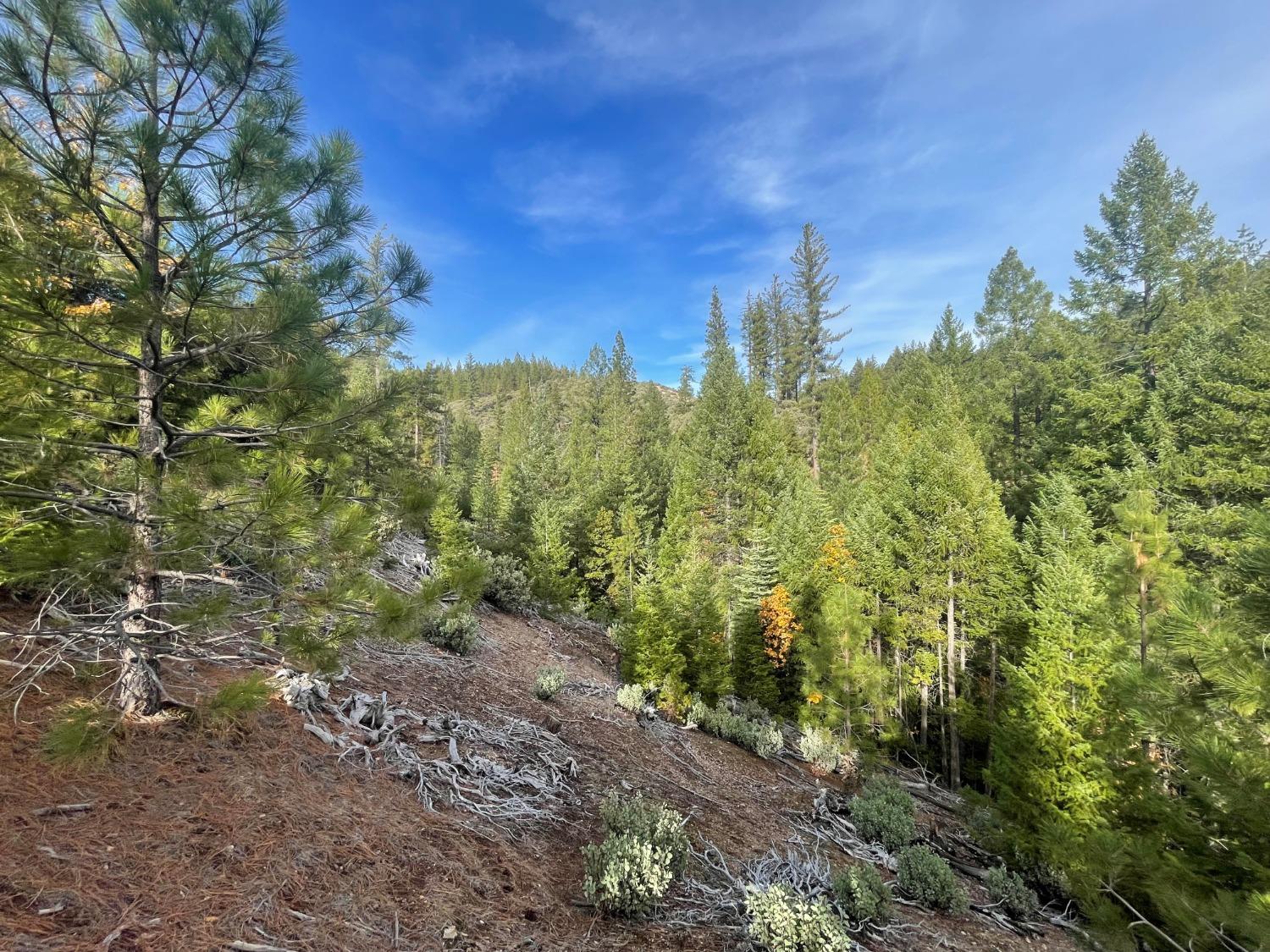 Detail Gallery Image 7 of 16 For 16605 Buckeye Rd, Nevada City,  CA 95959 - – Beds | – Baths