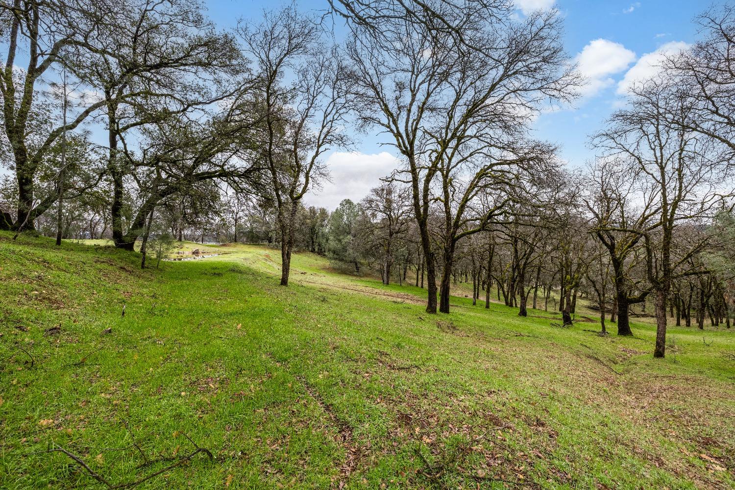 Detail Gallery Image 14 of 18 For 23003 Darkhorse Dr, Auburn,  CA 95602 - – Beds | – Baths