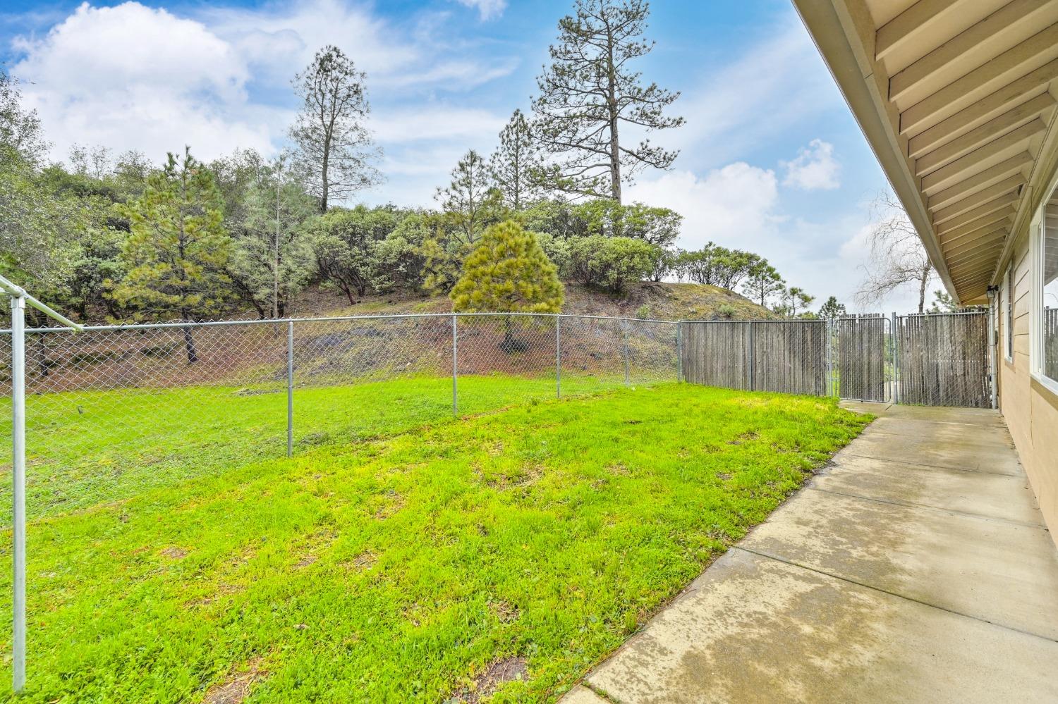 Detail Gallery Image 45 of 65 For 13675 Shake Ridge Rd, Sutter Creek,  CA 95685 - 3 Beds | 2 Baths