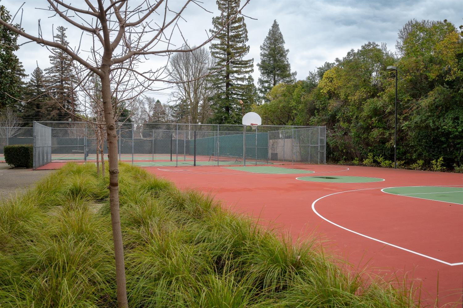 Cattail Court, Sacramento, California image 30