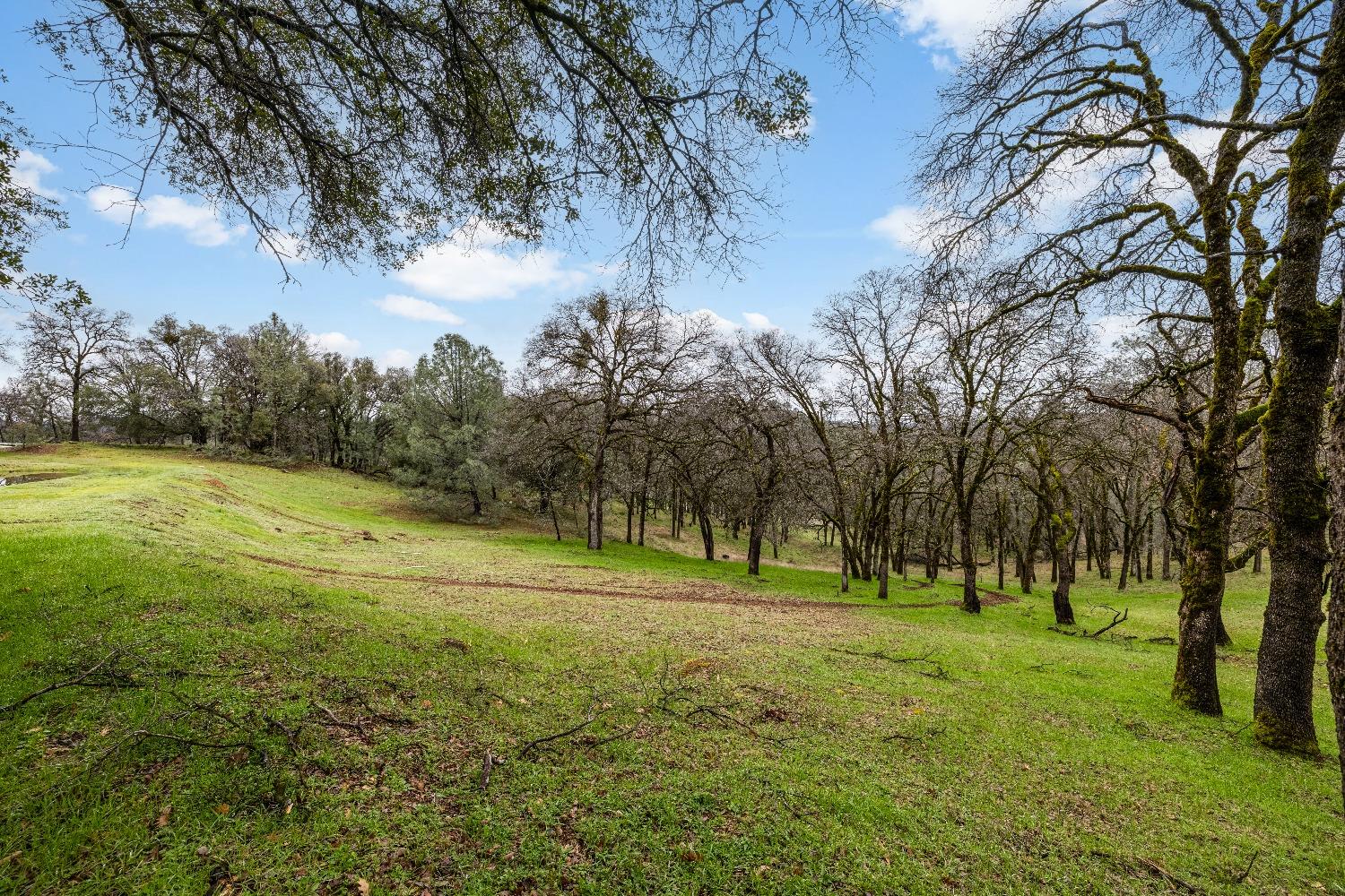 Detail Gallery Image 3 of 18 For 23003 Darkhorse Dr, Auburn,  CA 95602 - – Beds | – Baths