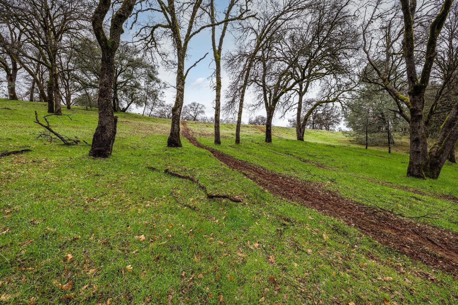 Detail Gallery Image 13 of 18 For 23003 Darkhorse Dr, Auburn,  CA 95602 - – Beds | – Baths