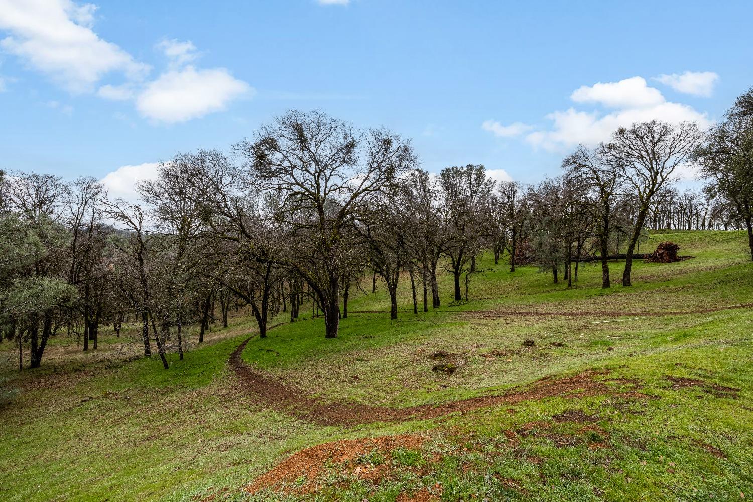 Detail Gallery Image 11 of 18 For 23003 Darkhorse Dr, Auburn,  CA 95602 - – Beds | – Baths