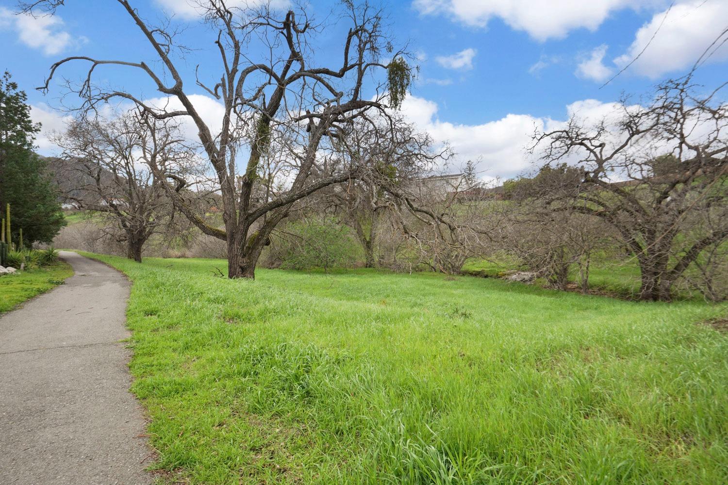 E. Myrick Court, Clayton, California image 50