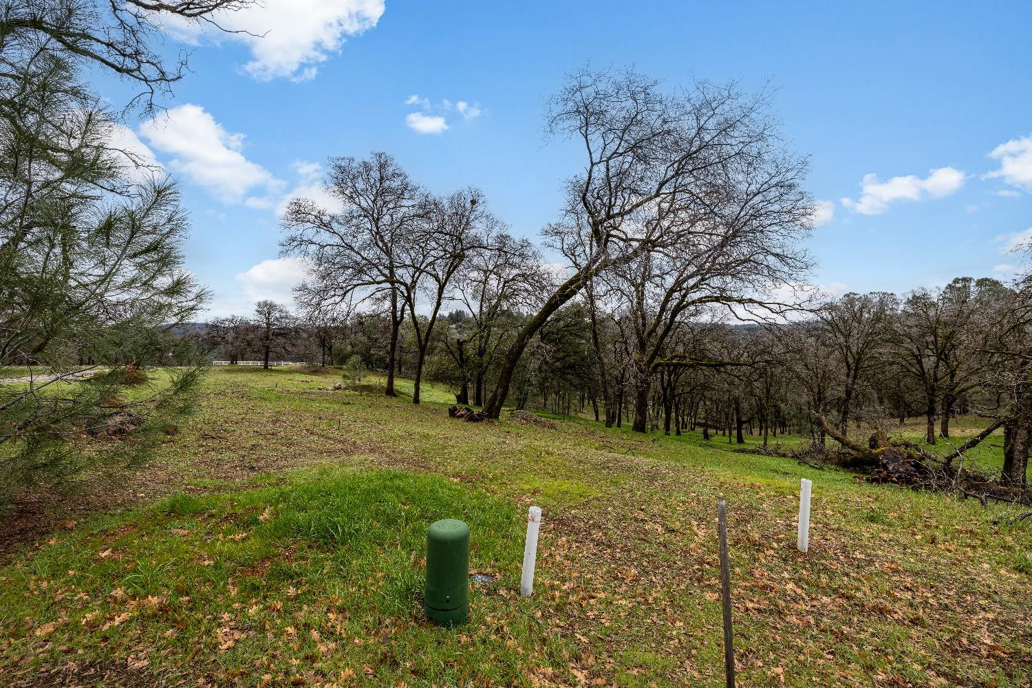 Detail Gallery Image 18 of 18 For 23003 Darkhorse Dr, Auburn,  CA 95602 - – Beds | – Baths