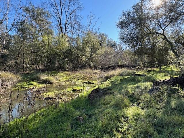 Township Road, Browns Valley, California image 15