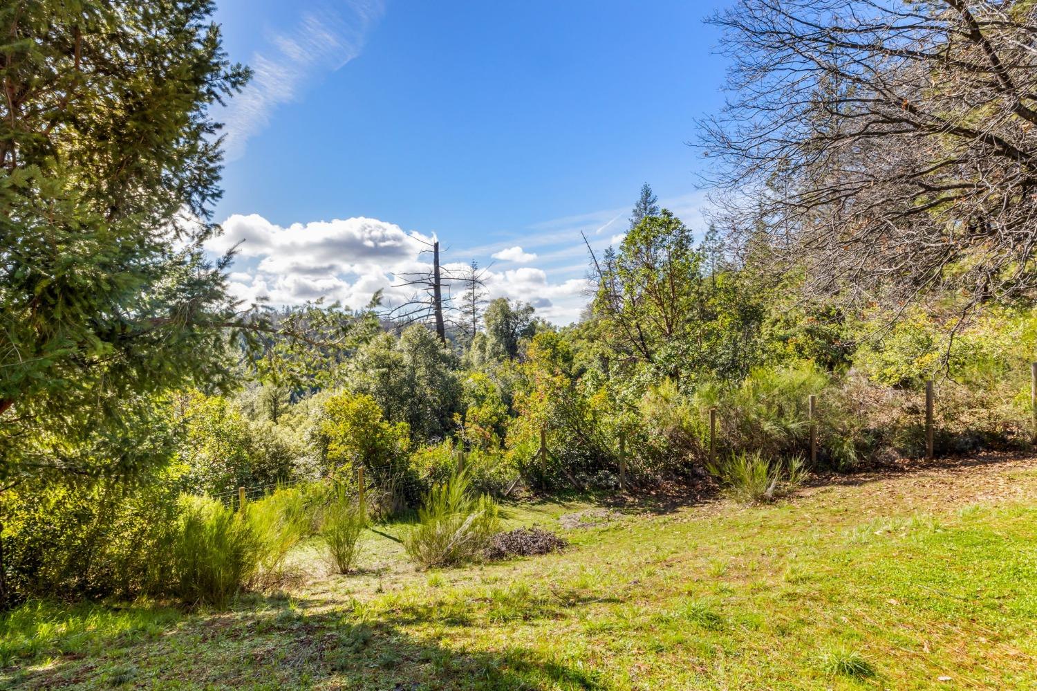 Detail Gallery Image 48 of 49 For 1855 Sanromo Dr, Greenwood,  CA 95635 - 3 Beds | 2 Baths