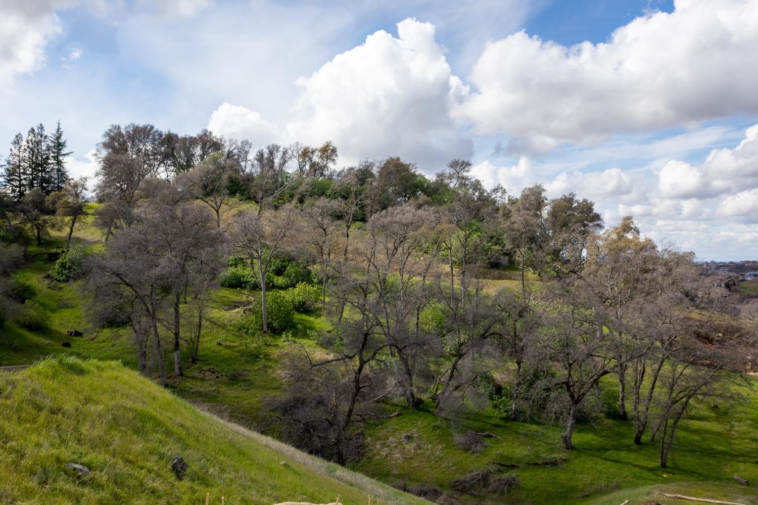 Detail Gallery Image 6 of 39 For 1072 via Treviso, El Dorado Hills,  CA 95762 - – Beds | – Baths