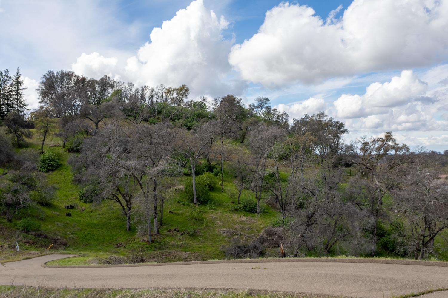 Detail Gallery Image 7 of 39 For 1072 via Treviso, El Dorado Hills,  CA 95762 - – Beds | – Baths