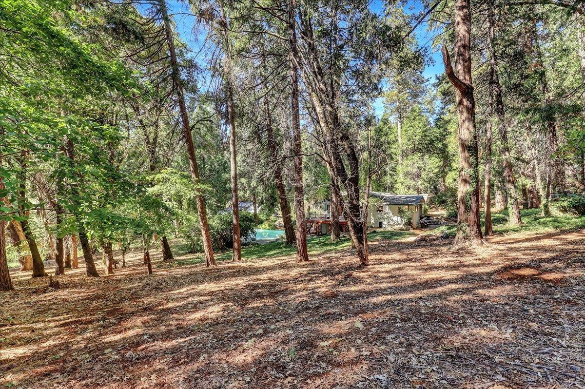 Detail Gallery Image 77 of 85 For 14322 Meadow Dr, Grass Valley,  CA 95945 - 3 Beds | 2 Baths