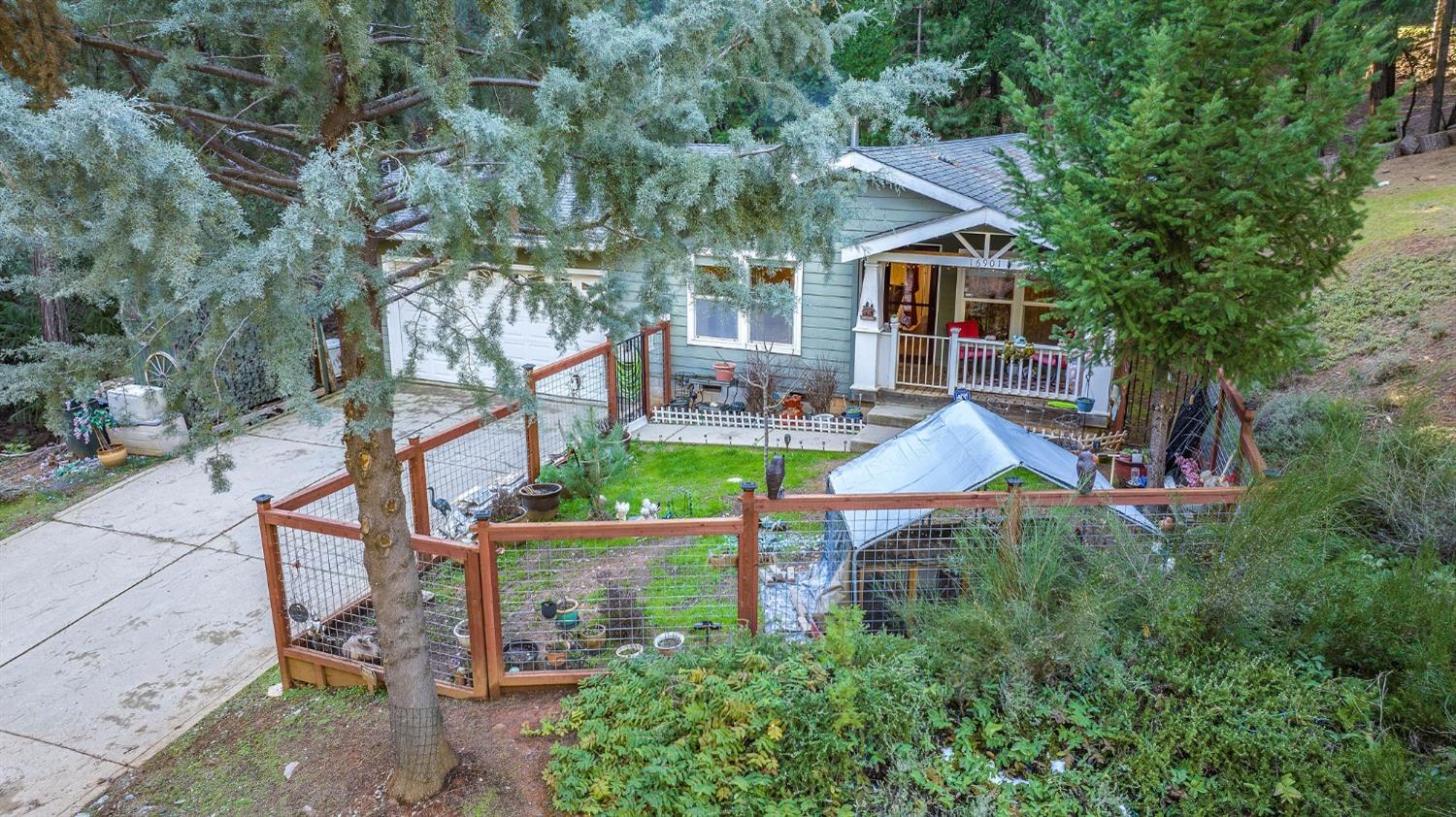 Mckenzie Drive, Pioneer, California image 3