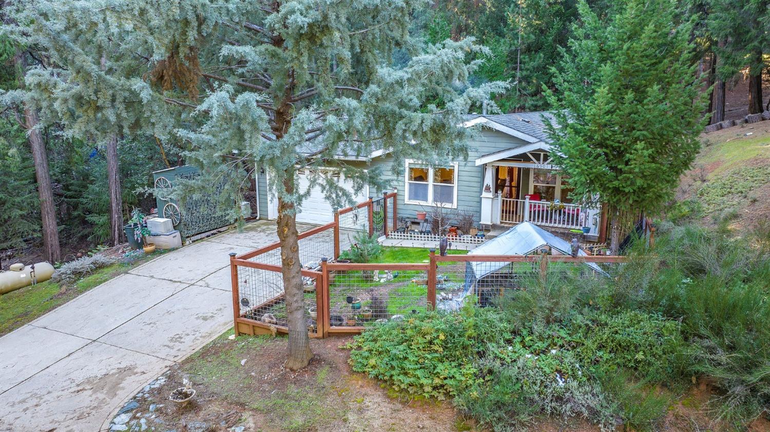 Mckenzie Drive, Pioneer, California image 4