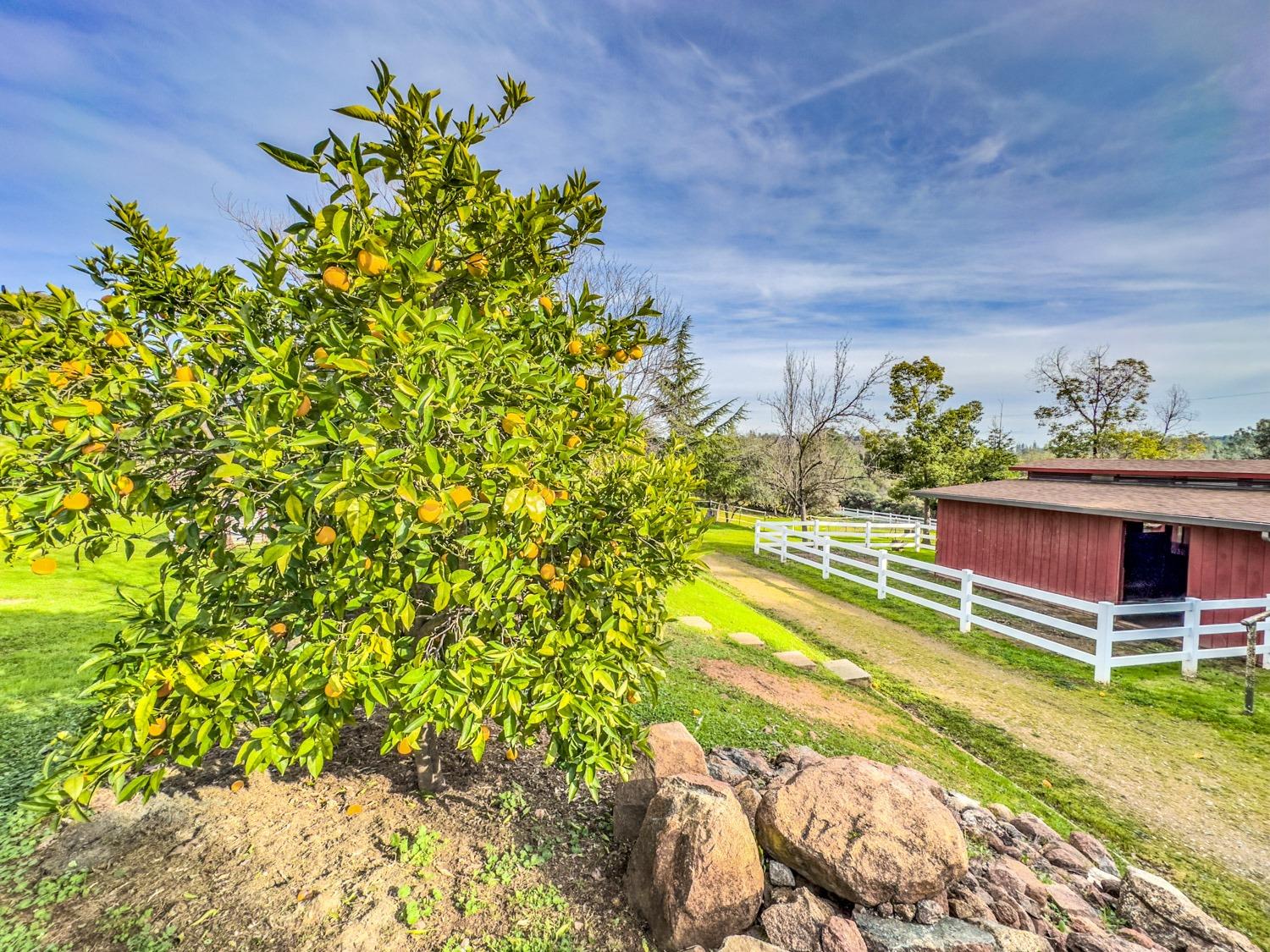 Acorn Court, Rescue, California image 50