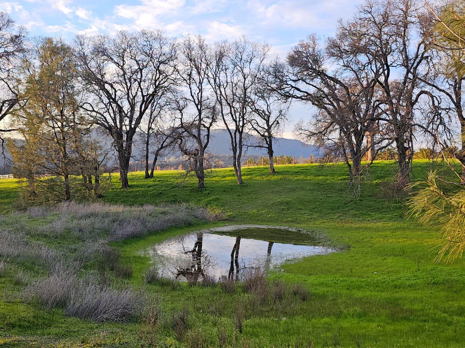 Detail Gallery Image 8 of 17 For 1218 Salmon Falls Rd, El Dorado Hills,  CA 95762 - – Beds | – Baths