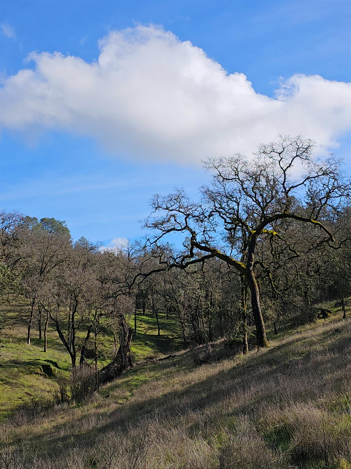 Detail Gallery Image 7 of 21 For 0 Trails End Dr, Placerville,  CA 95667 - – Beds | – Baths