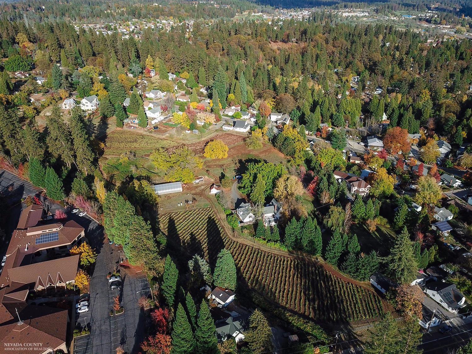 Barker Lane, Grass Valley, California image 3