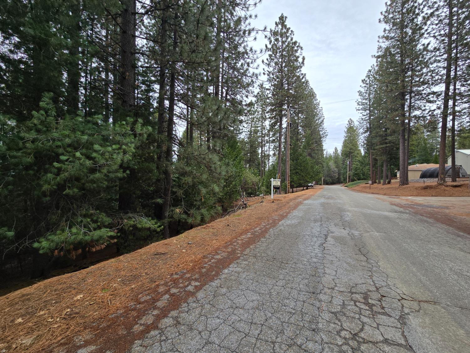 Pine Ridge Drive, Grizzly Flats, California image 8