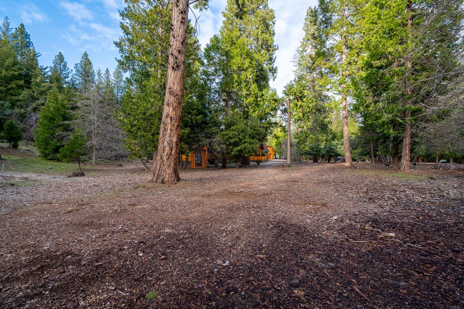 Spring Court, Pioneer, California image 9