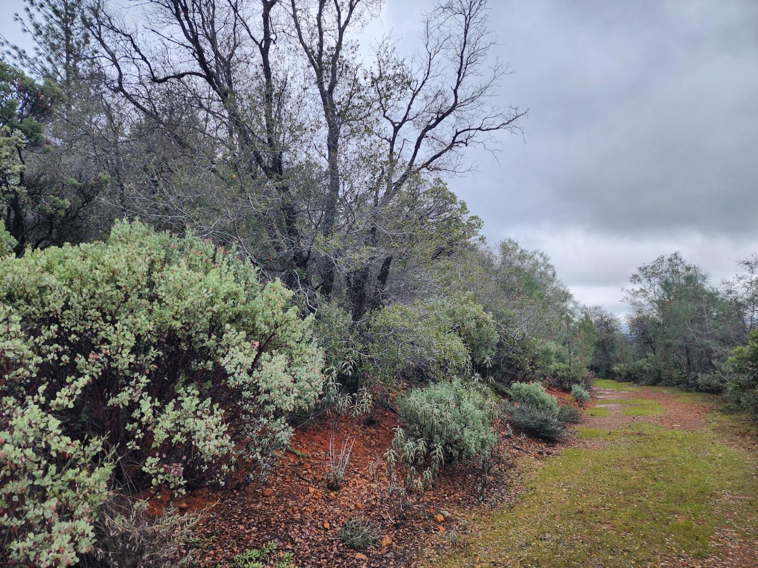 Stellar Road, Grass Valley, California image 16